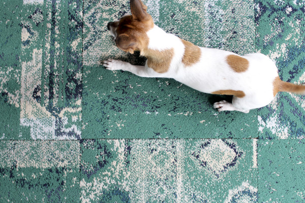 FLOR's Remembrance Rug in Emerald via Oh, I Design Blog