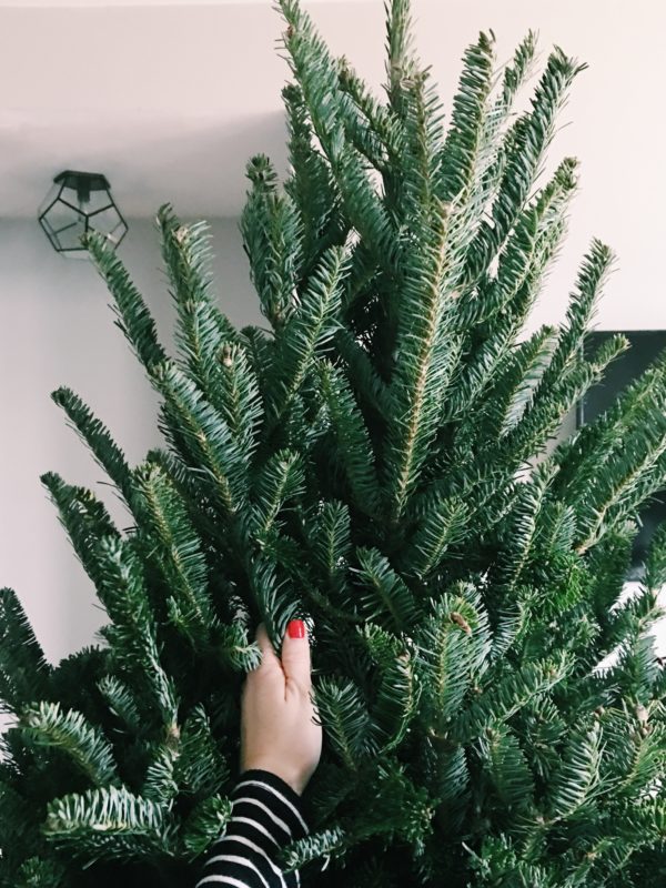 Green Valley Christmas Trees via Oh, I Design Blog